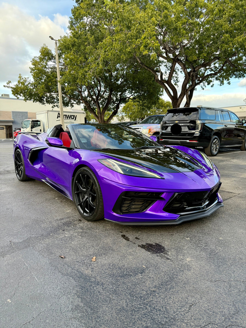 Rent your exotic cars today