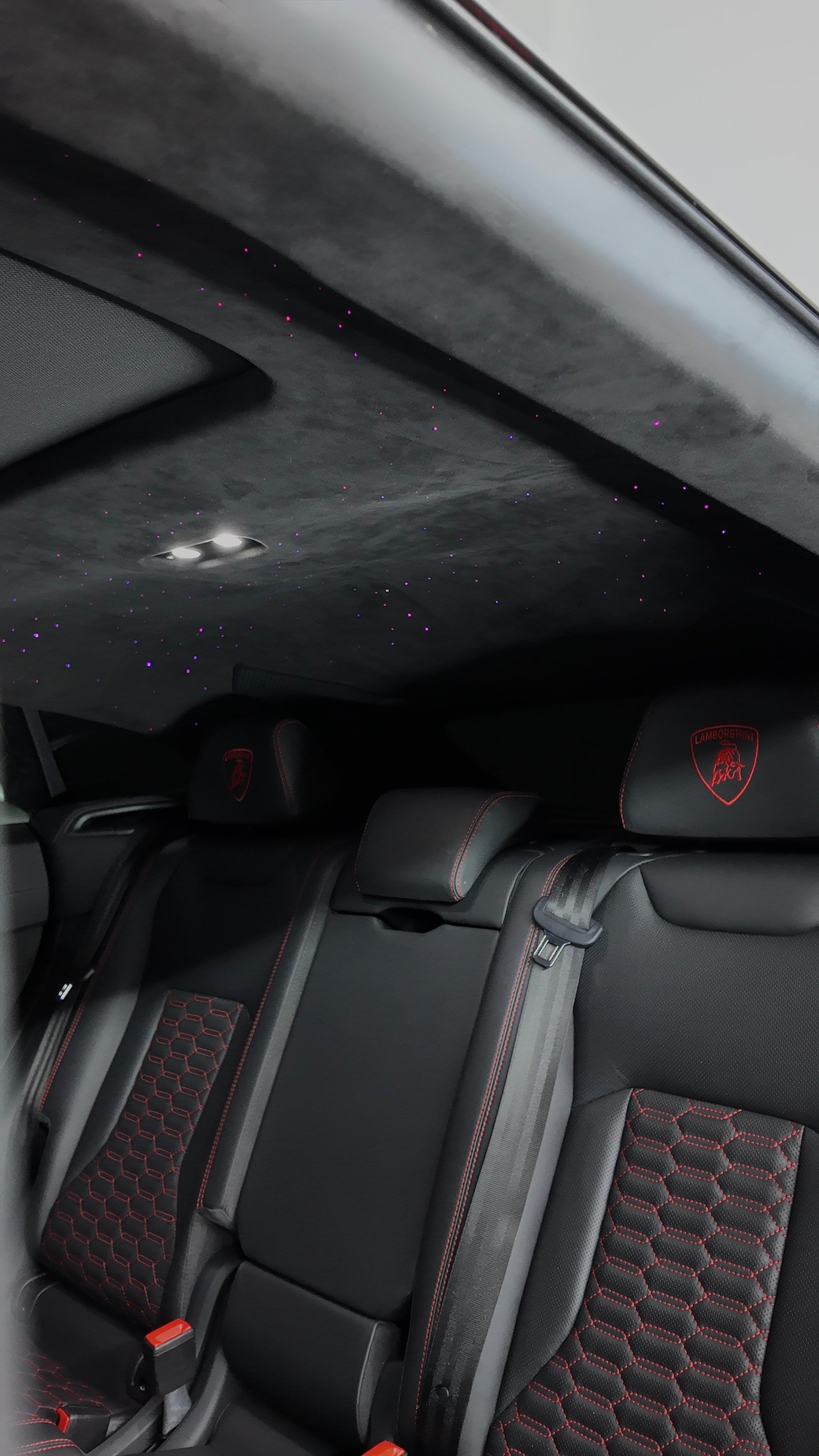 Panda Lamborghini Urus with Stars