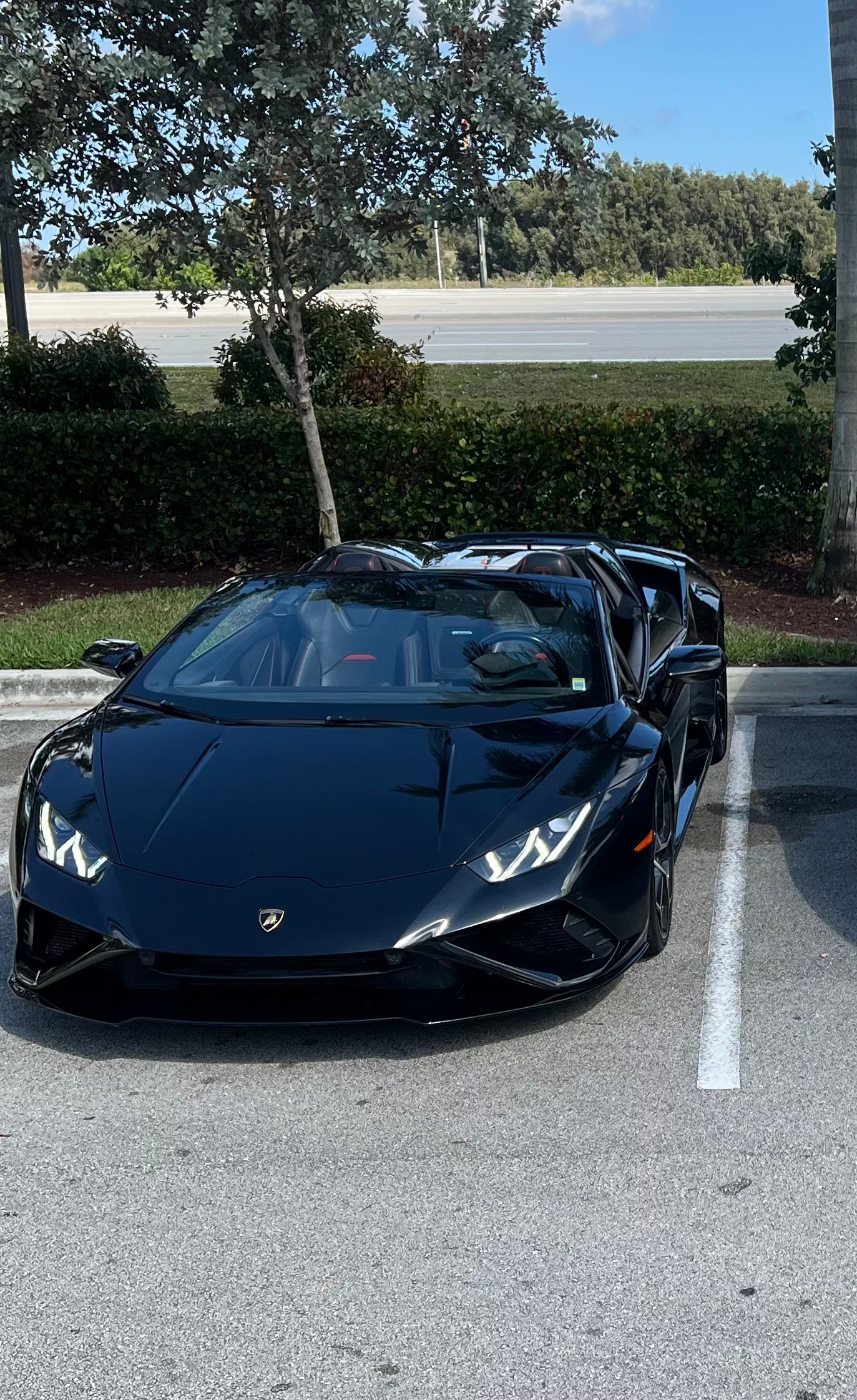 Black Lamborghini sports car parked in a lot with trees and water in the background