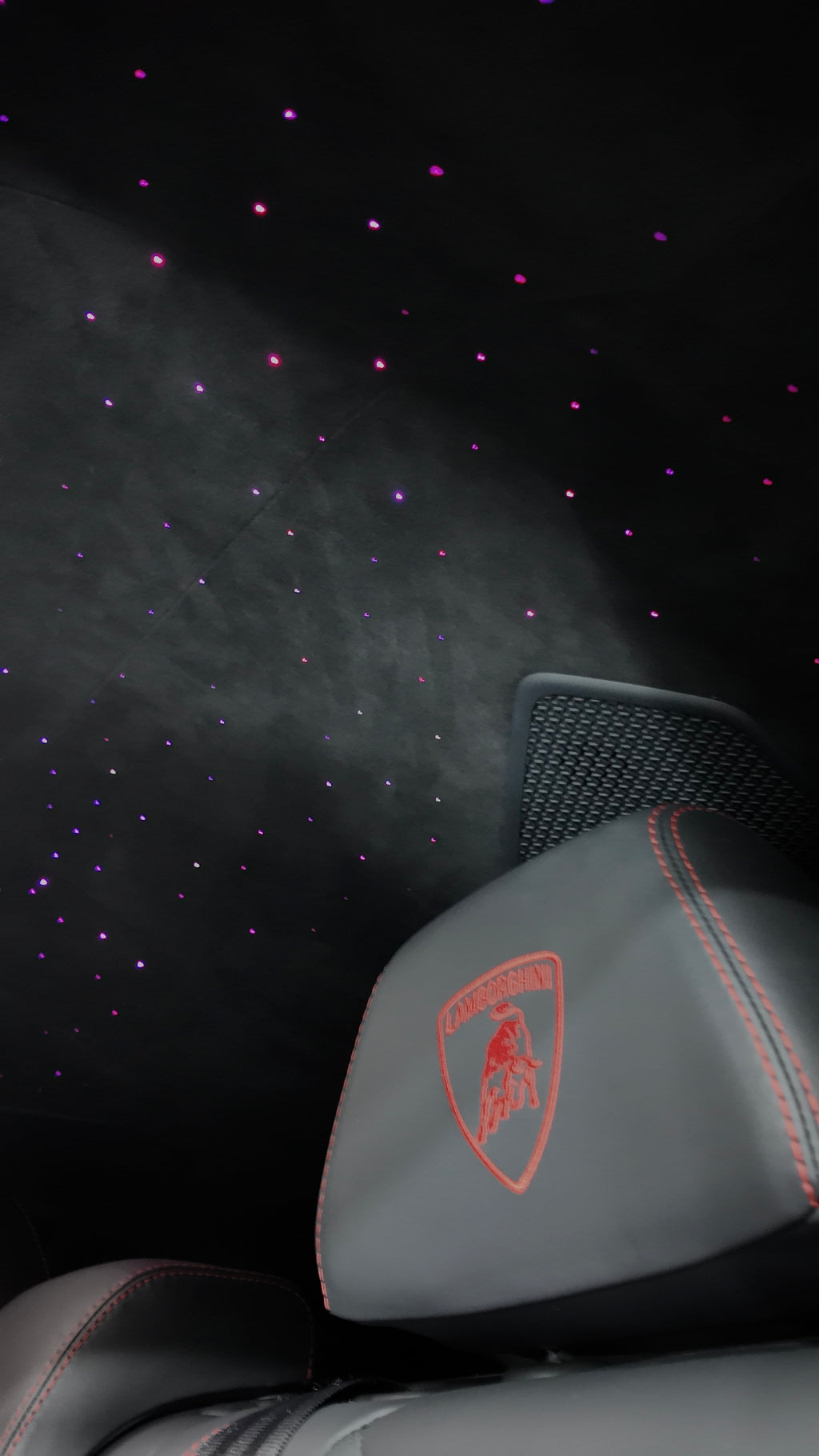 Panda Lamborghini Urus with Stars