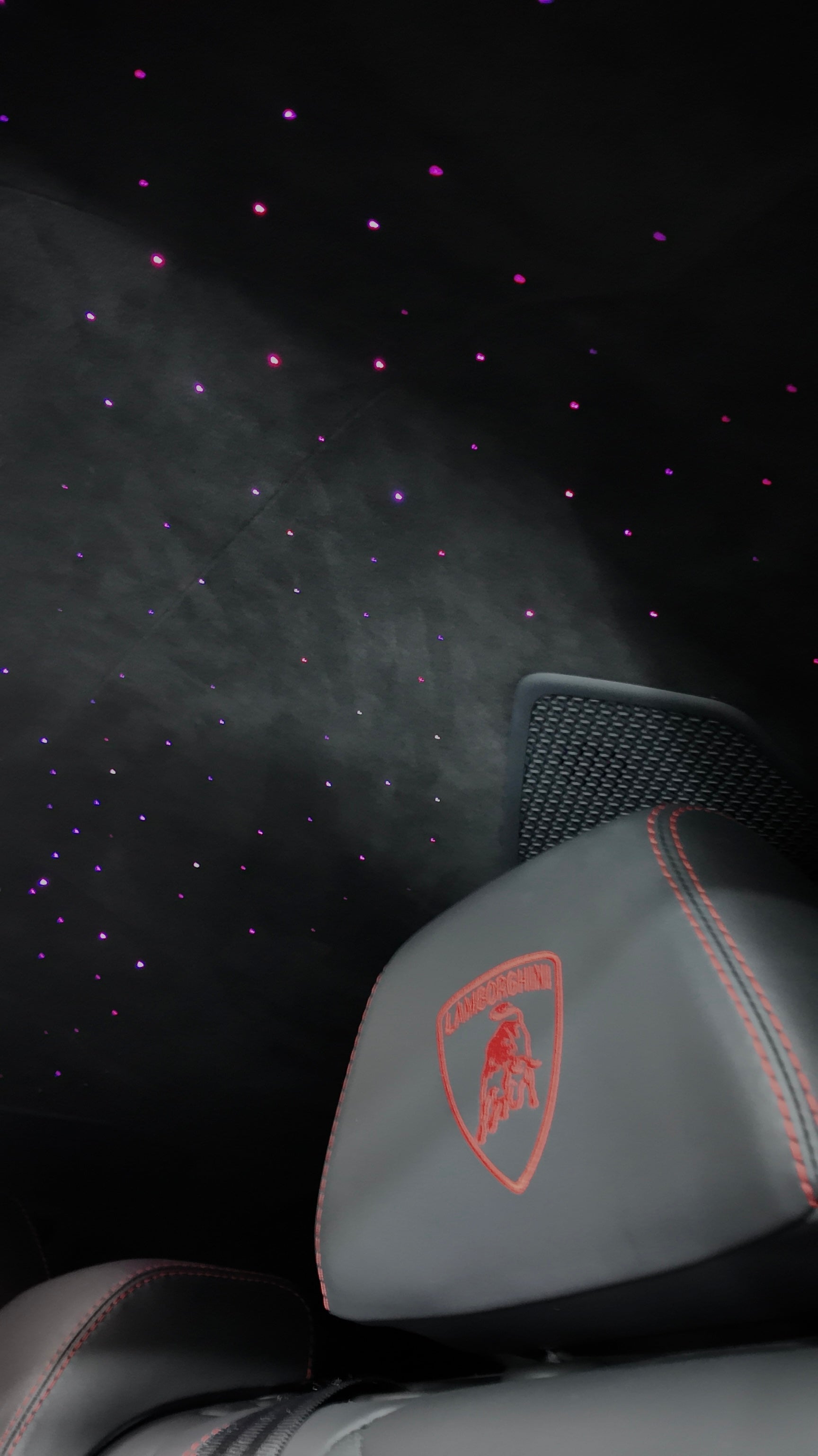 Panda Lamborghini Urus with Stars