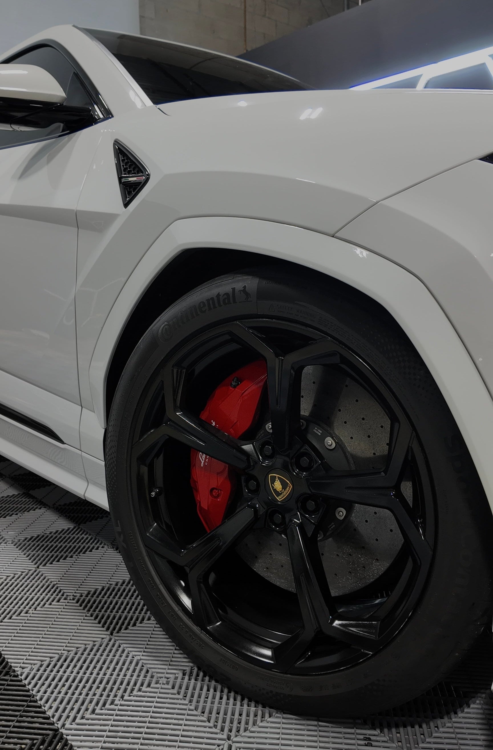 Panda Lamborghini Urus with Stars