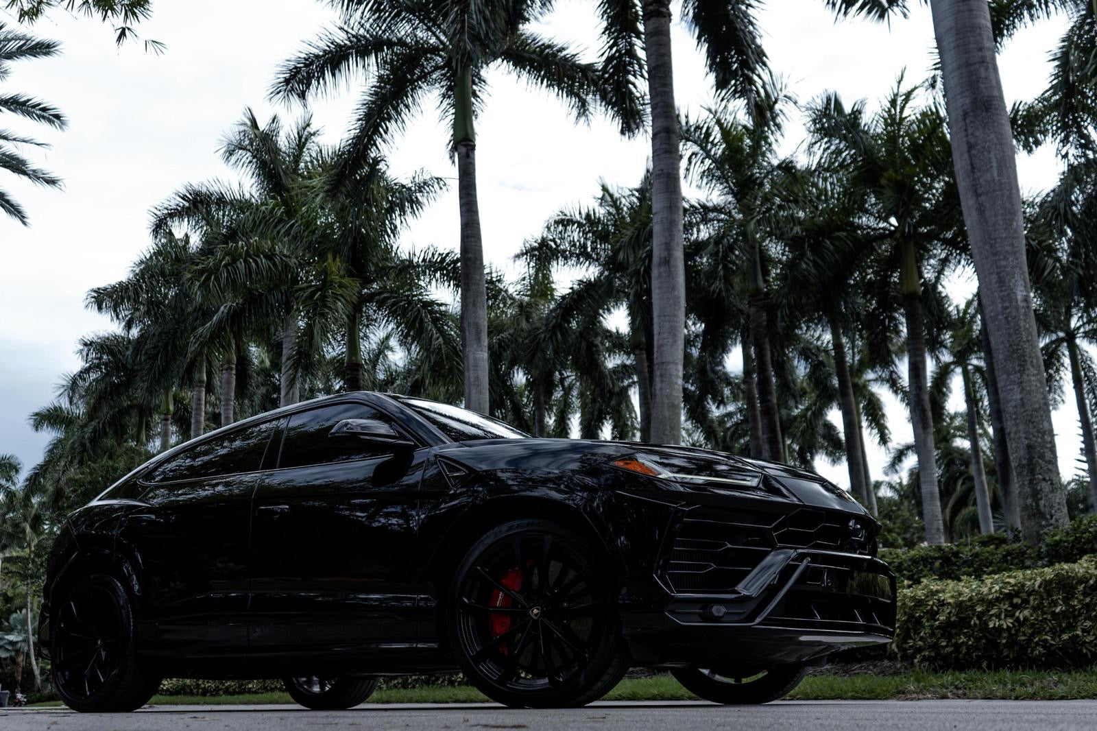 Black Urus with red interior rentals