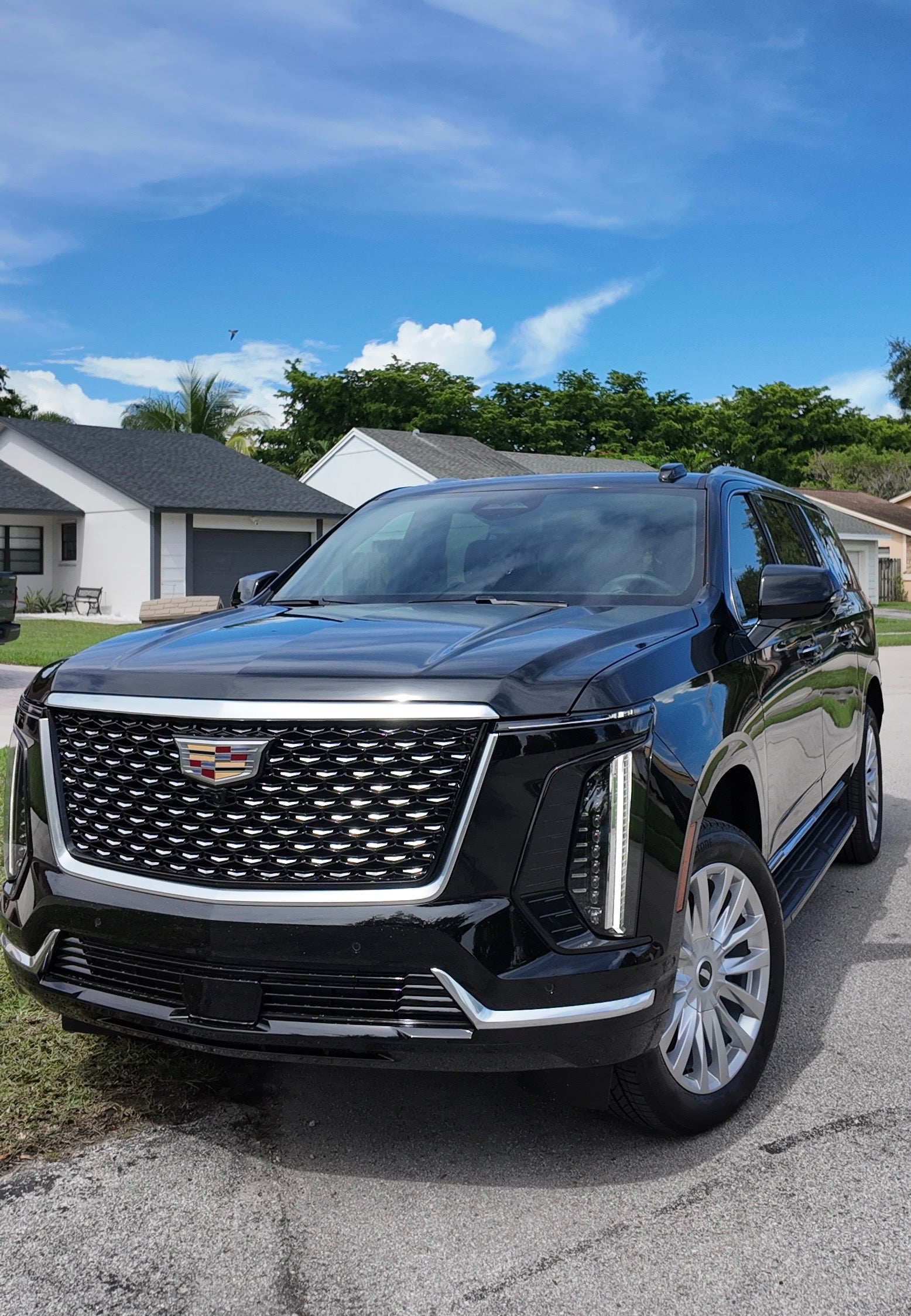 Black Cadillac SUV parked on a residential street with houses and trees in the background.